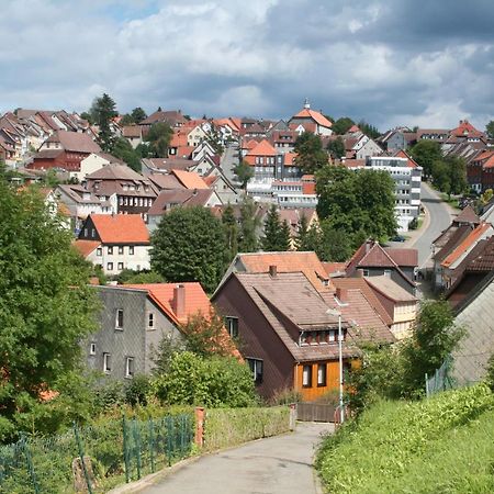Ferienwohnung Wiesenblick Mit Terrasse Im Landhaus Fischer Sankt Andreasberg Luaran gambar