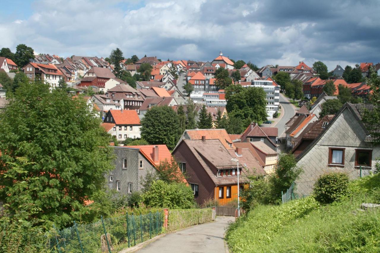 Ferienwohnung Wiesenblick Mit Terrasse Im Landhaus Fischer Sankt Andreasberg Luaran gambar